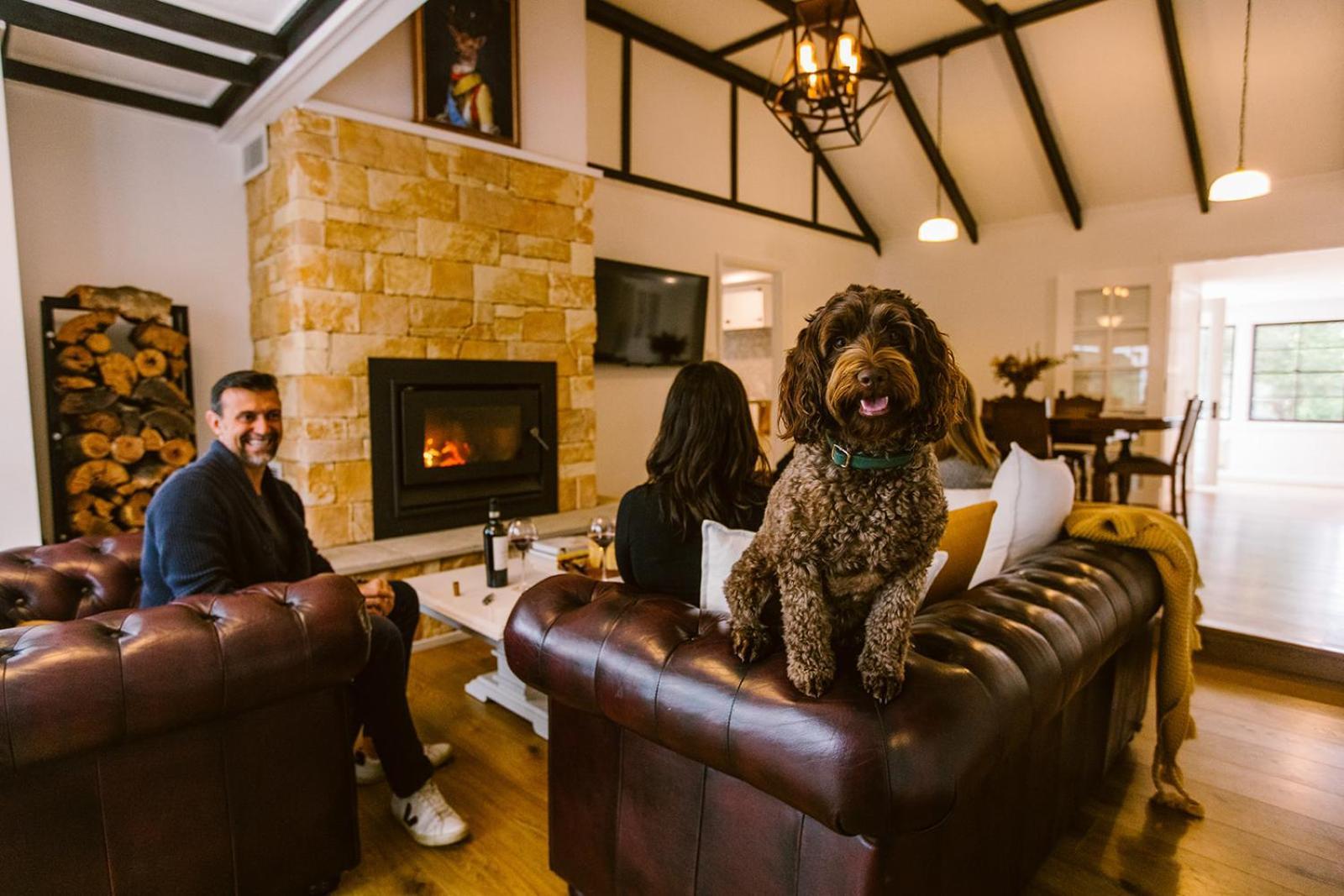 Pet-friendly Highlands With Fireplace